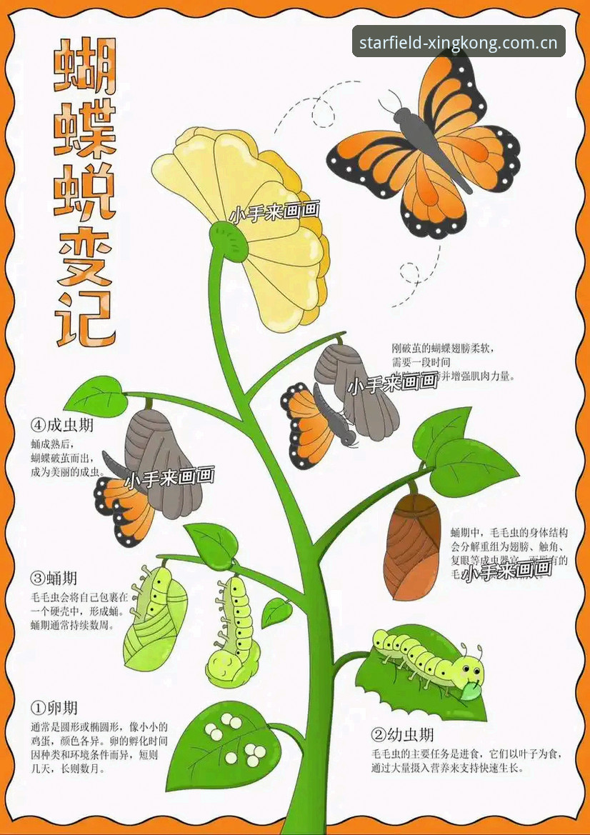星空xingkong cn login 看懂皮奥破茧成蝶的3个关键节点